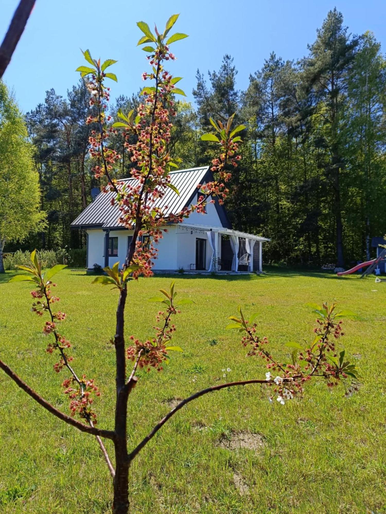 Jeszcze Bardziej Dziki Sad Villa Slajszewo ภายนอก รูปภาพ